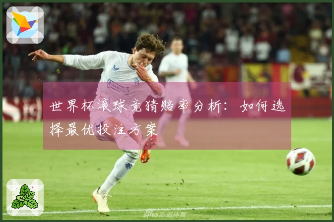 世界杯滚球竞猜赔率分析：如何选择最优投注方案