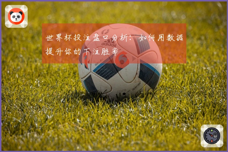 世界杯投注盘口分析：如何用数据提升你的下注胜率