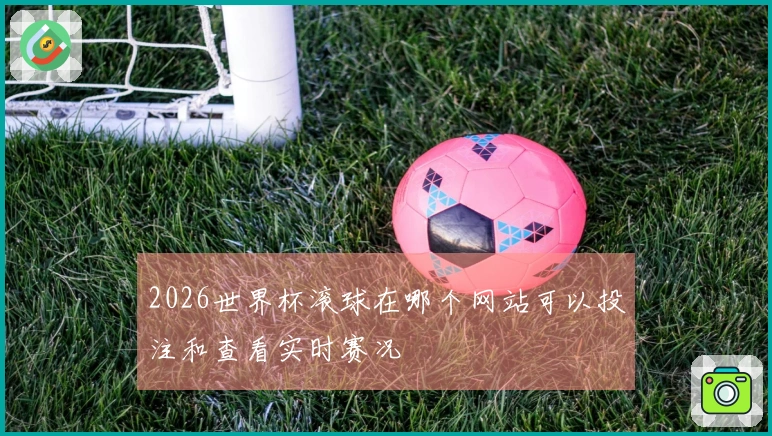 2026世界杯滚球在哪个网站可以投注和查看实时赛况
