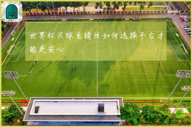 世界杯买球竞猜该如何选择平台才能更安心