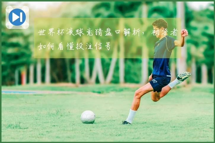 世界杯滚球竞猜盘口解析，初学者如何看懂投注信号