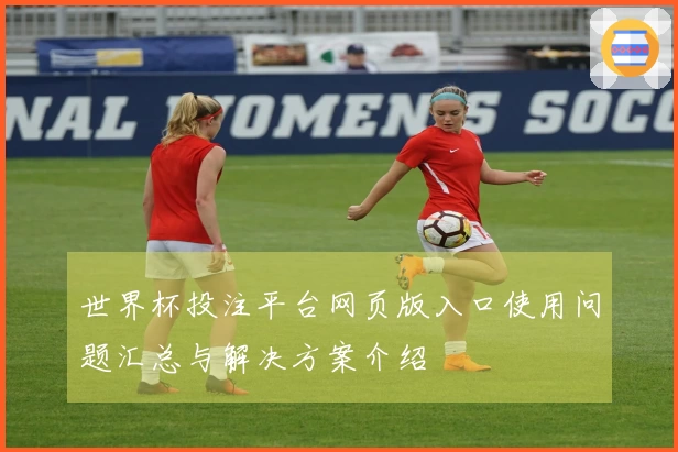 世界杯投注平台网页版入口使用问题汇总与解决方案介绍