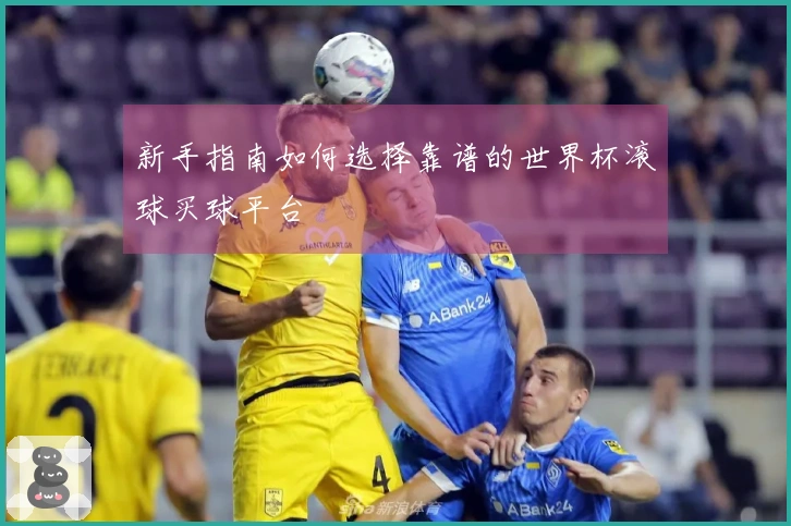 新手指南如何选择靠谱的世界杯滚球买球平台
