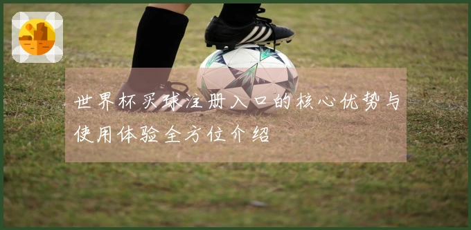 世界杯买球注册入口的核心优势与使用体验全方位介绍
