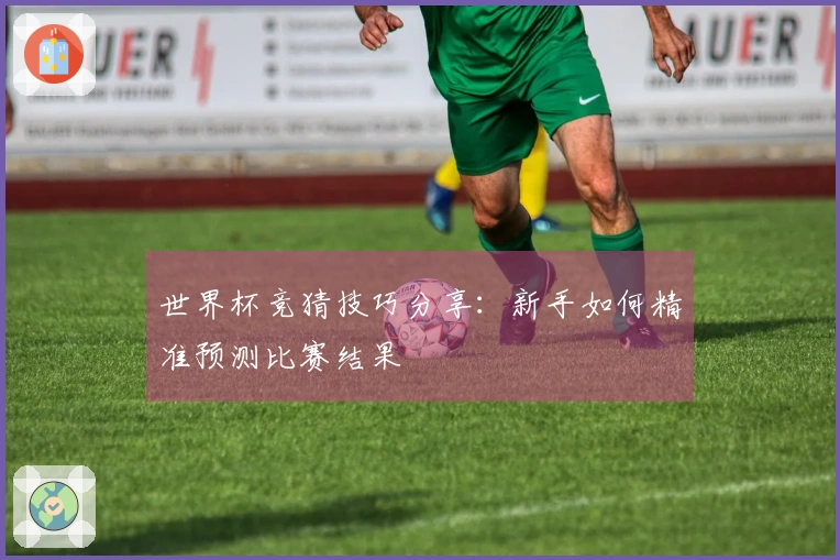 世界杯竞猜技巧分享：新手如何精准预测比赛结果
