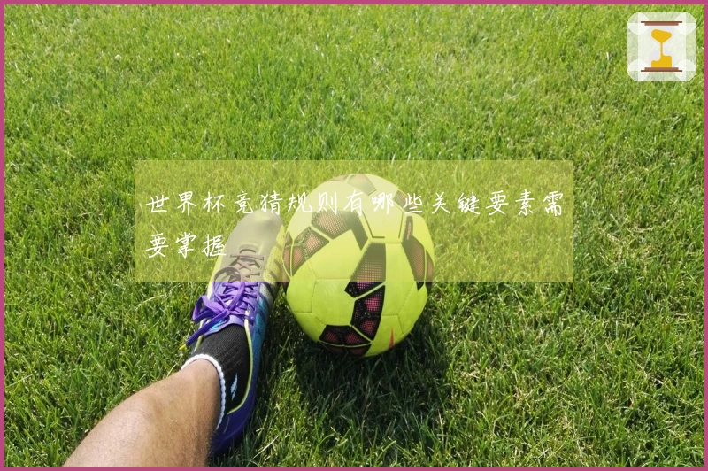 世界杯竞猜规则有哪些关键要素需要掌握