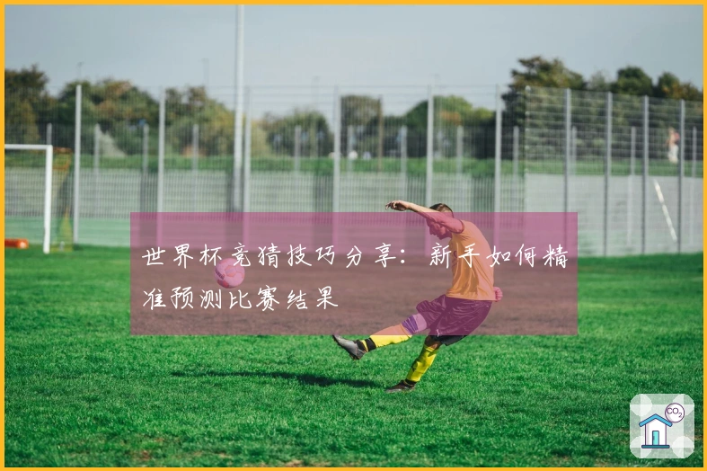 世界杯竞猜技巧分享：新手如何精准预测比赛结果