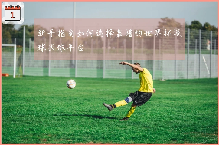 新手指南如何选择靠谱的世界杯滚球买球平台