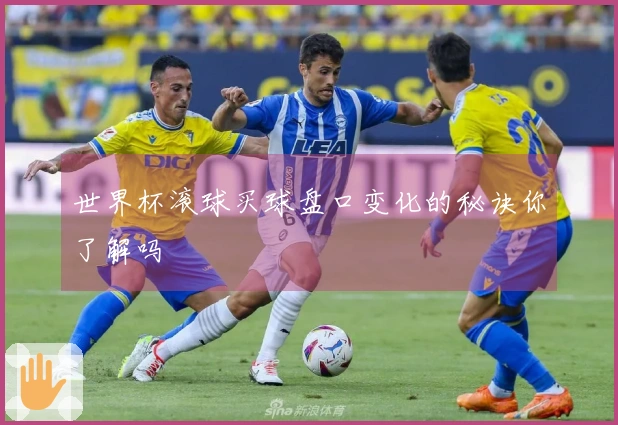 世界杯滚球买球盘口变化的秘诀你了解吗