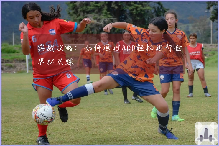 实战攻略：如何通过App轻松进行世界杯买球