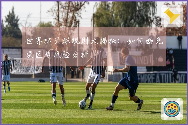世界杯买球规则大揭秘：如何避免误区与风险分析