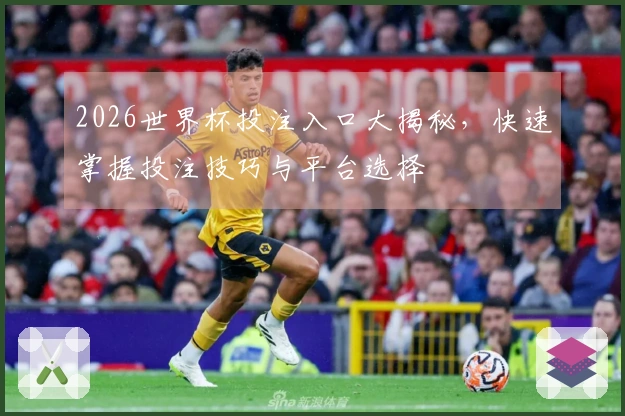 2026世界杯投注入口大揭秘，快速掌握投注技巧与平台选择