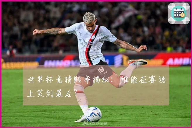世界杯竞猜赔率揭秘：谁能在赛场上笑到最后？