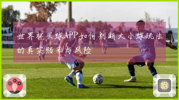 世界杯买球APP如何判断大小球玩法的真实赔率与风险