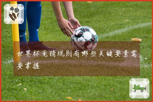 世界杯竞猜规则有哪些关键要素需要掌握